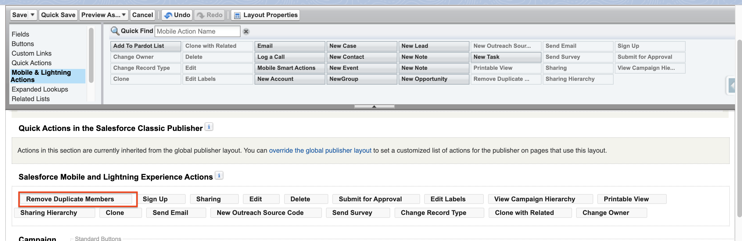 Screenshot: Page Layout / Lightning Button