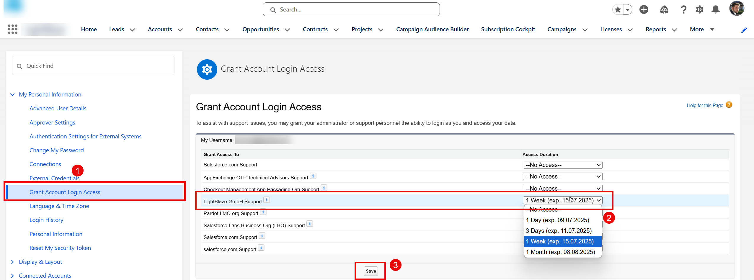 Screenshot: Grant Login Access